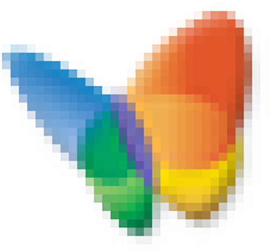 MSN